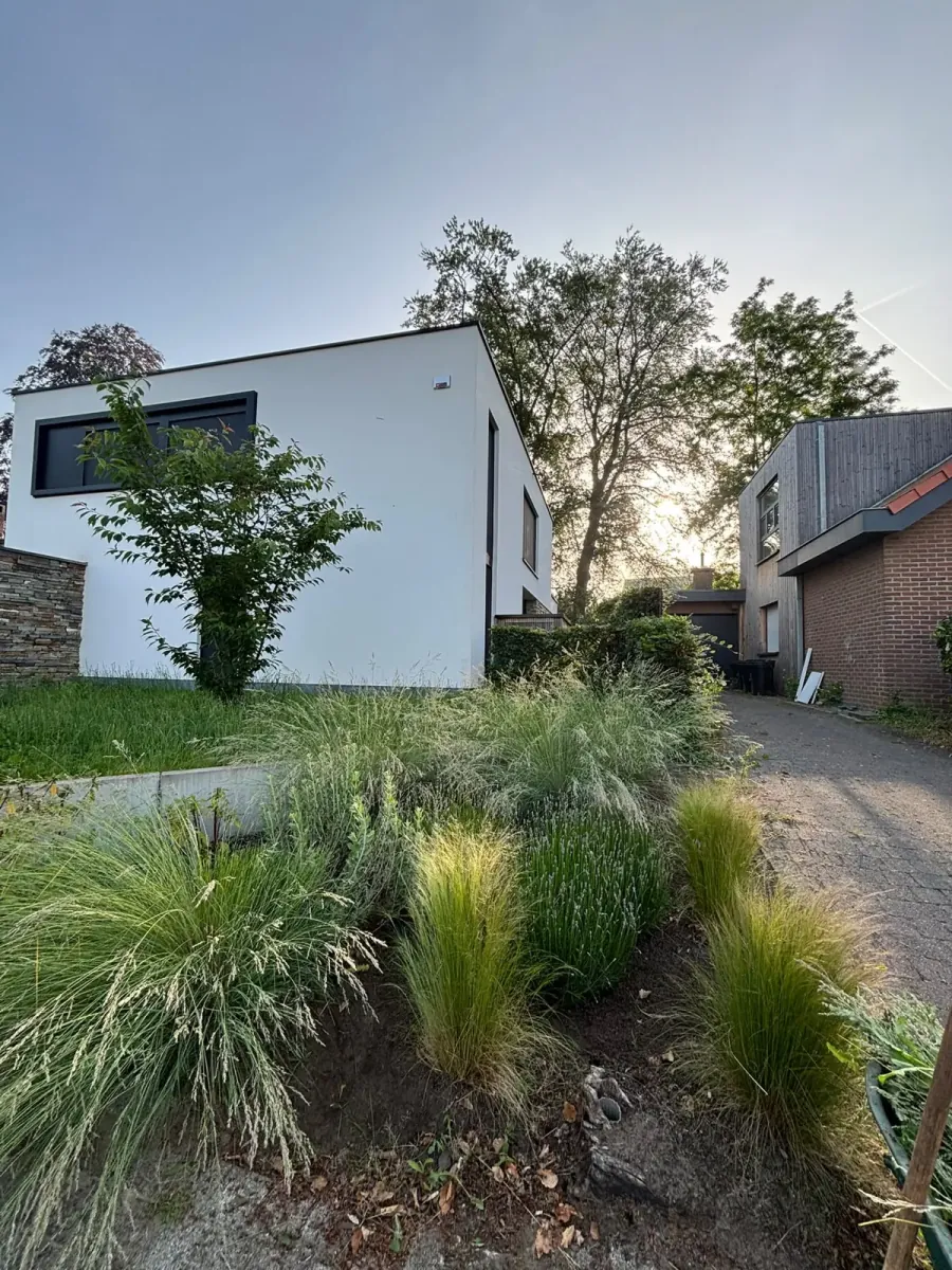 Aangelegde border met siergrassen langs een woning